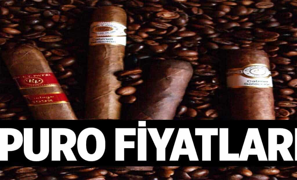 Puro Fiyatlari 1024x622qCG.jpg