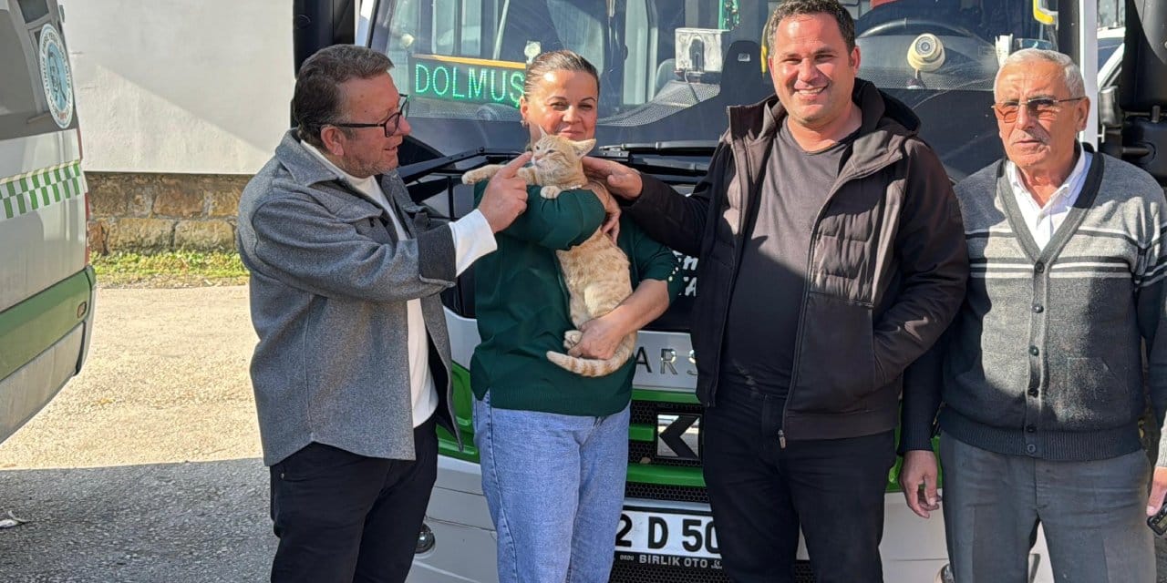 dolmus soforleri kedi icin seferber oldu ameliyat masrafini karsiladilar bakin ismini ne koydular gmD7tWMN.jpg